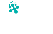 Xeal Energo-Pro
